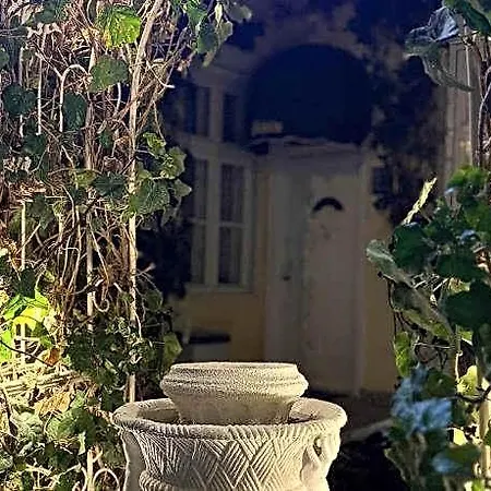 فندق Oasis