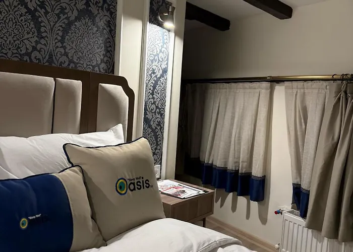 Oasis מלון 3*